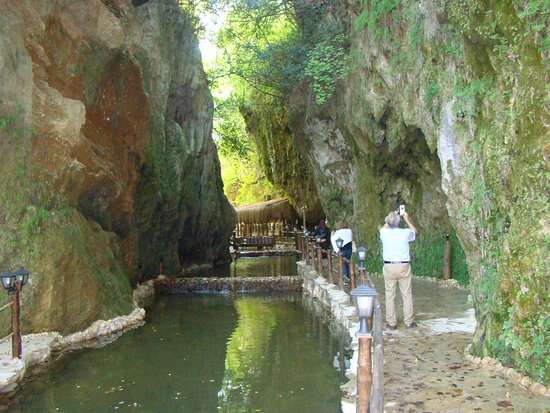 Muğla’da 20 Yıllık İhale:  Damla Deresi Orman Parkı İçin Fiyat Belli Oldu 2